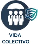 Vida Colectivo