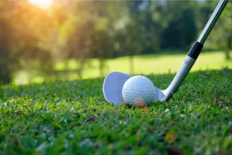 Palos de Golf